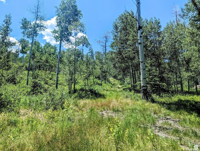 10579 E Fir Run Dr Unit 735, Heber City, UT 84032 - photo 14
