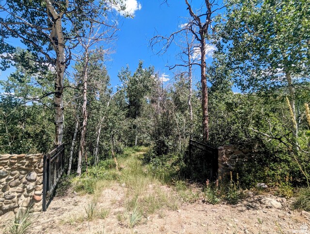 10579 E Fir Run Dr Unit 735, Heber City, UT 84032 - photo 19