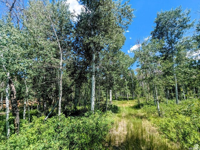 10579 E Fir Run Dr Unit 735, Heber City, UT 84032 - photo 10