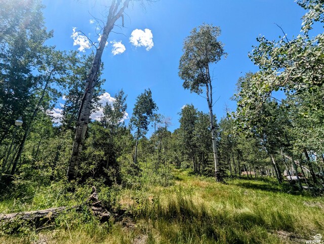 10579 E Fir Run Dr Unit 735, Heber City, UT 84032 - photo 5