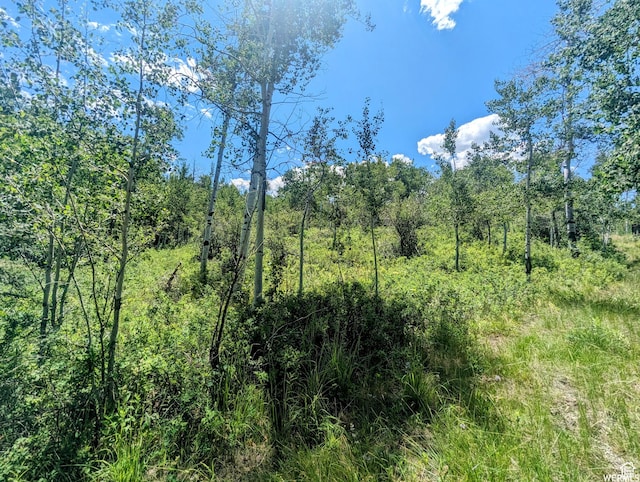 10579 E Fir Run Dr Unit 735, Heber City, UT 84032 - photo 6