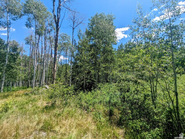 10579 E Fir Run Dr Unit 735, Heber City, UT 84032 - photo 8