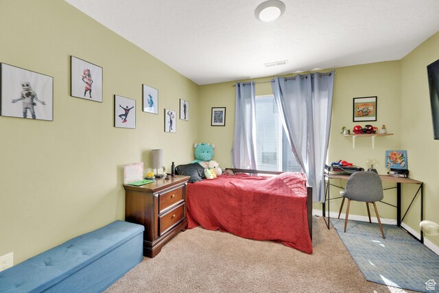 3755 S Gold Bank Dr W, Magna, UT 84044 - photo 15