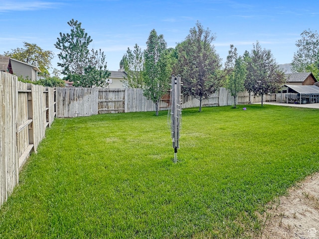 485 W Cottonwood Ln, Ferron, UT 84523 - view of yard