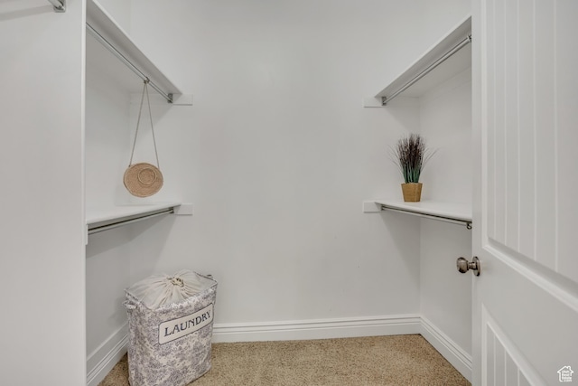 67 E Summer Pl S, Saratoga Springs, UT 84045 - walk in closet featuring carpet floors