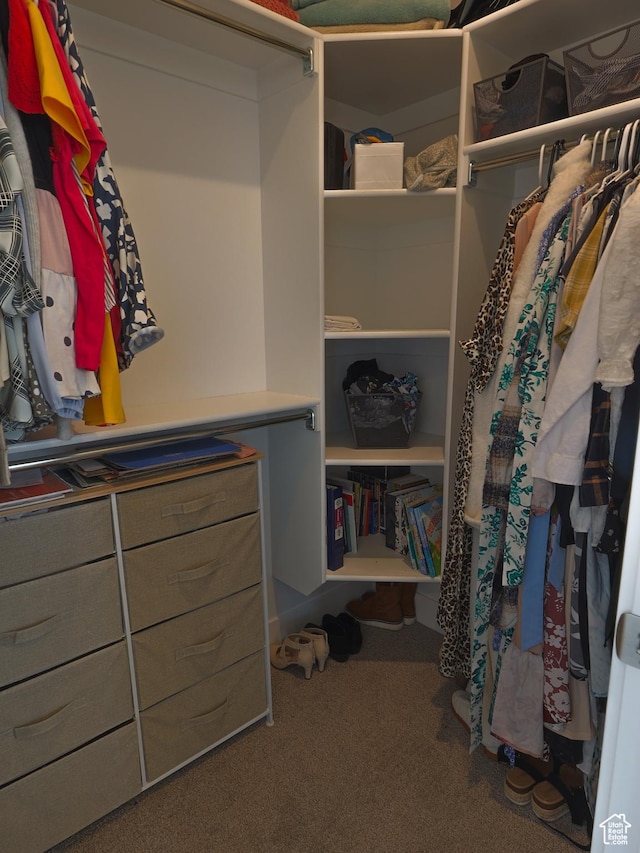 4817 W 50 S, West Point, UT 84015 - spacious closet featuring carpet flooring