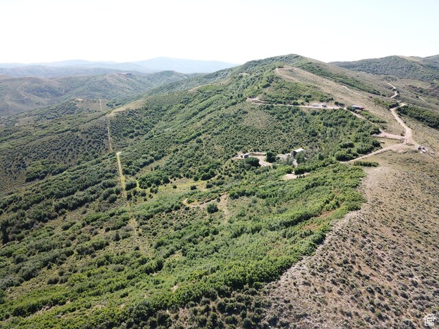28 Moose Horn Rd Unit 28, Coalville, UT 84017