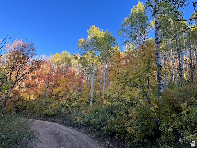 28 Moose Horn Rd Unit 28, Coalville, UT 84017