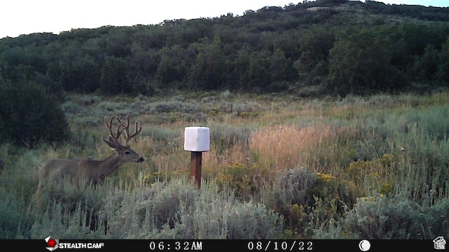 28 Moose Horn Rd Unit 28, Coalville, UT 84017