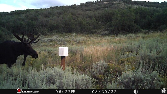 28 Moose Horn Rd Unit 28, Coalville, UT 84017