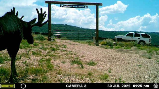 28 Moose Horn Rd Unit 28, Coalville, UT 84017
