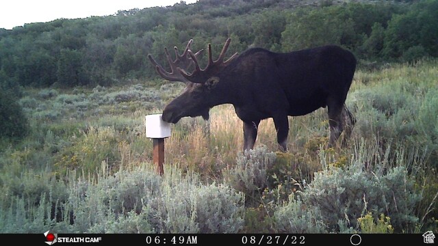 28 Moose Horn Rd Unit 28, Coalville, UT 84017