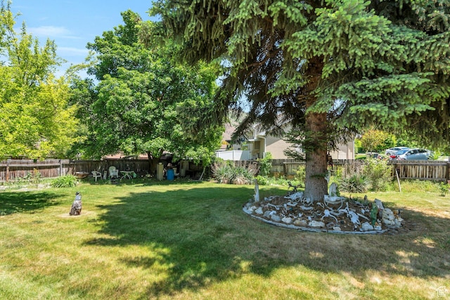 831 E Hillcrest Dr, Springville, UT 84663 - view of yard