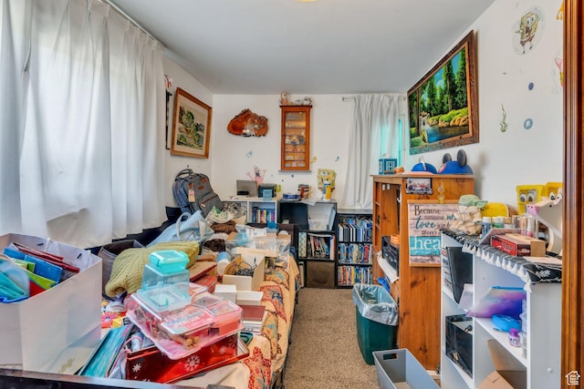 831 E Hillcrest Dr, Springville, UT 84663 - interior space featuring carpet floors
