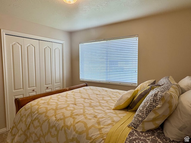 445 Topaz Blvd Unit 10, Delta, UT 84624 - bedroom with a closet