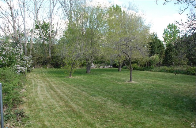1530 N 2000 W, Farr West, UT 84404 - view of green lawn