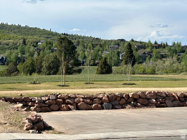 8257 N Sandalwood Ln, Park City, UT 84098 - view of grassy yard featuring a wooded view