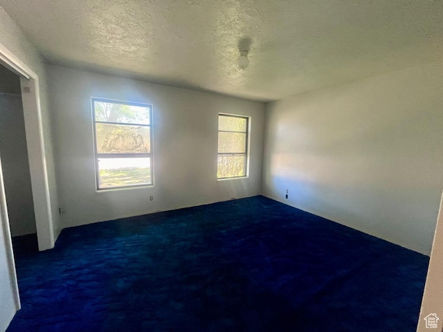 160 E 300 S, Gunnison, UT 84634 - unfurnished bedroom with carpet flooring, multiple windows, and a textured ceiling