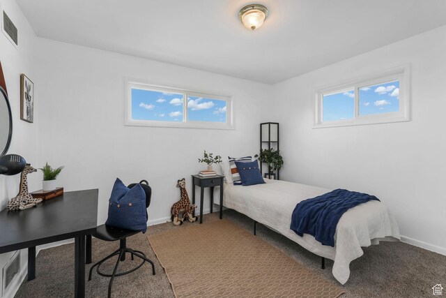 3909 S Rosemary St, West Valley City, UT 84120 - bedroom featuring carpet and baseboards