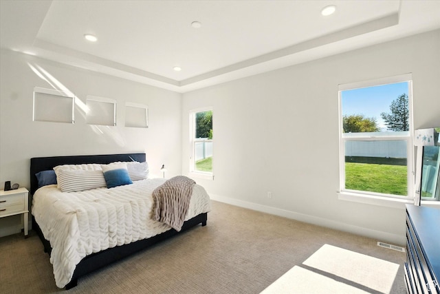1335 S 1140 E, Heber City, UT 84032 - carpeted bedroom featuring a raised ceiling, recessed lighting, and baseboards