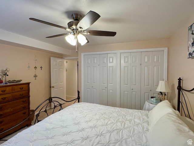 786 E Bristlecone Dr, Delta, UT 84624 - bedroom with two closets and ceiling fan