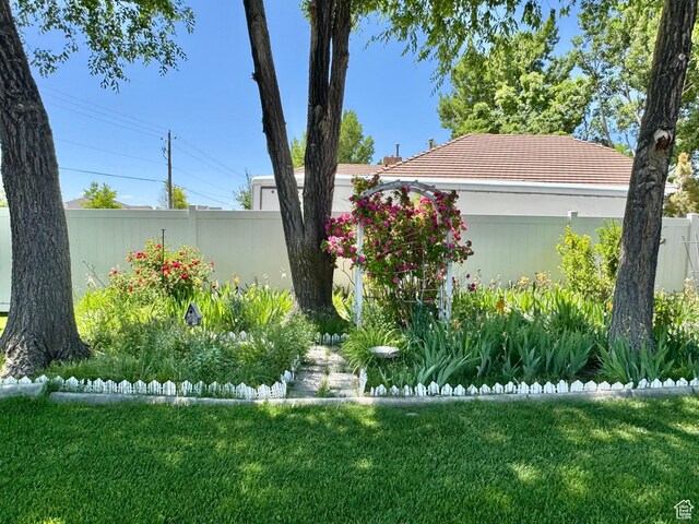 786 E Bristlecone Dr, Delta, UT 84624 - view of yard