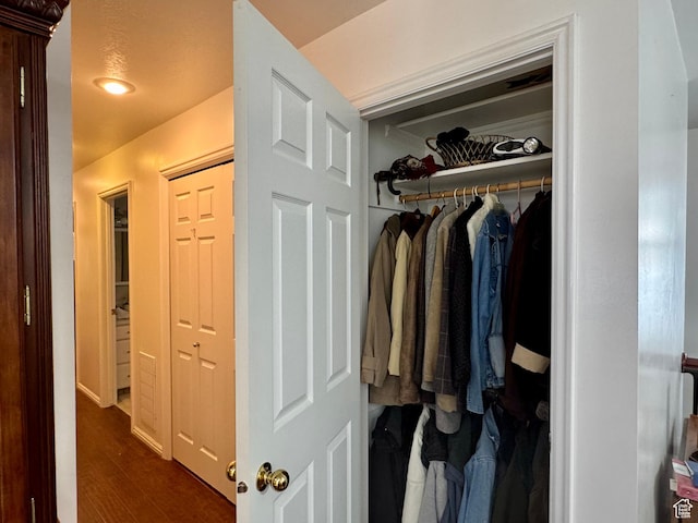 786 E Bristlecone Dr, Delta, UT 84624 - view of closet