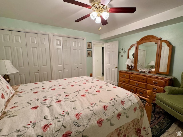 786 E Bristlecone Dr, Delta, UT 84624 - bedroom featuring multiple closets and ceiling fan