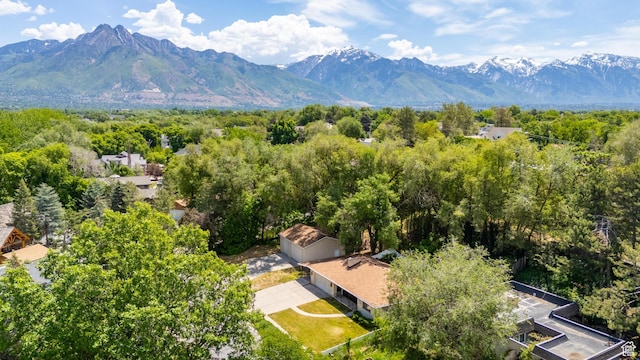 700 E Spruce Glen Rd, Murray, UT 84107 - drone / aerial view of mountains