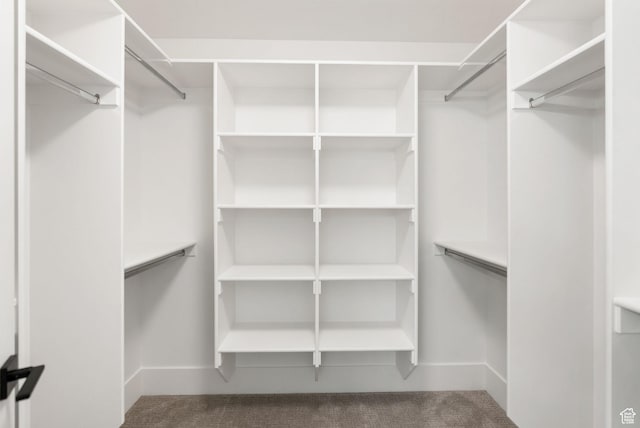 1120 S 800 W, Lewiston, UT 84320 - spacious closet featuring carpet flooring