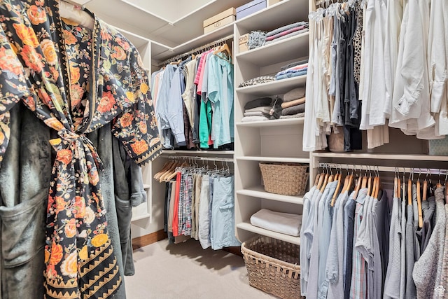 3052 N Snow Canyon Pwky Unit 168, St George, UT 84770 - walk in closet with carpet