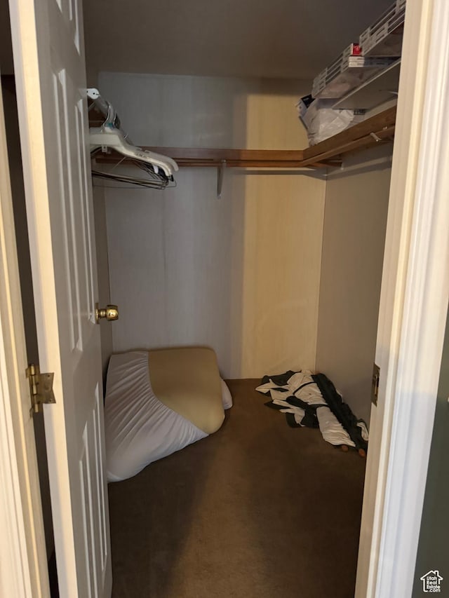 235 N 5th E, Manila, UT 84046 - spacious closet with carpet