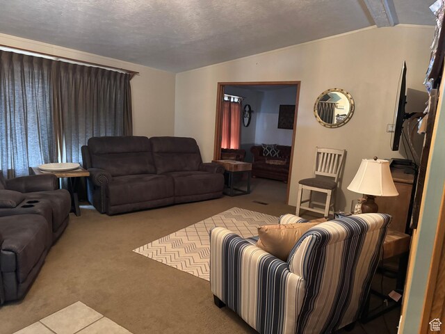 235 N 5th E, Manila, UT 84046 - living area with lofted ceiling, carpet, and a textured ceiling