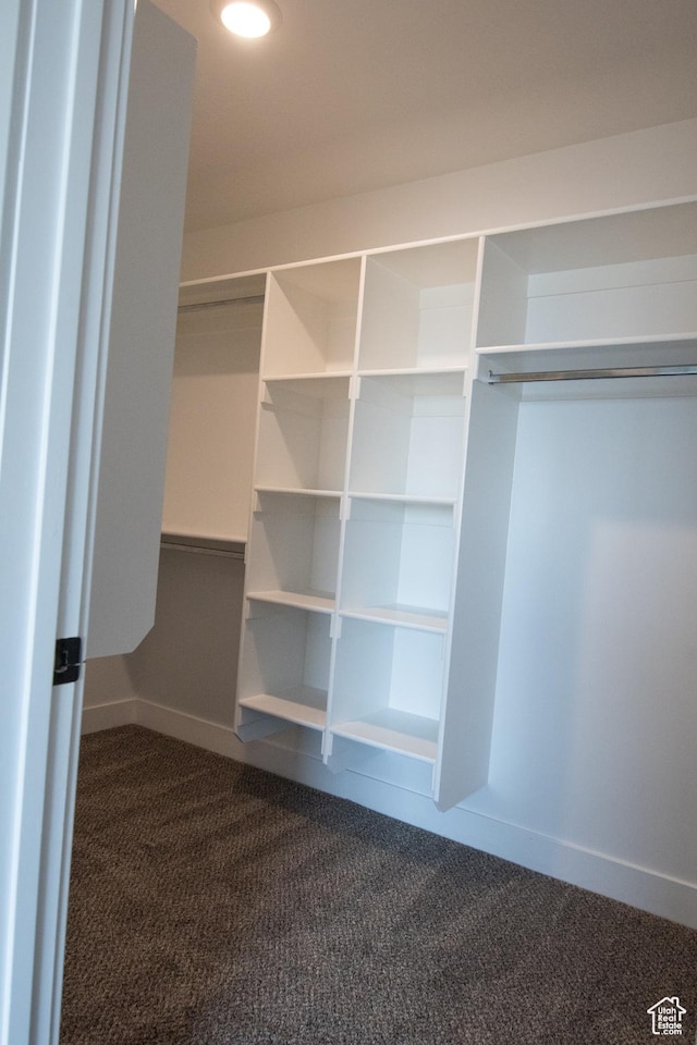 182 W Braeburn Ln, Santaquin, UT 84655 - walk in closet with dark colored carpet