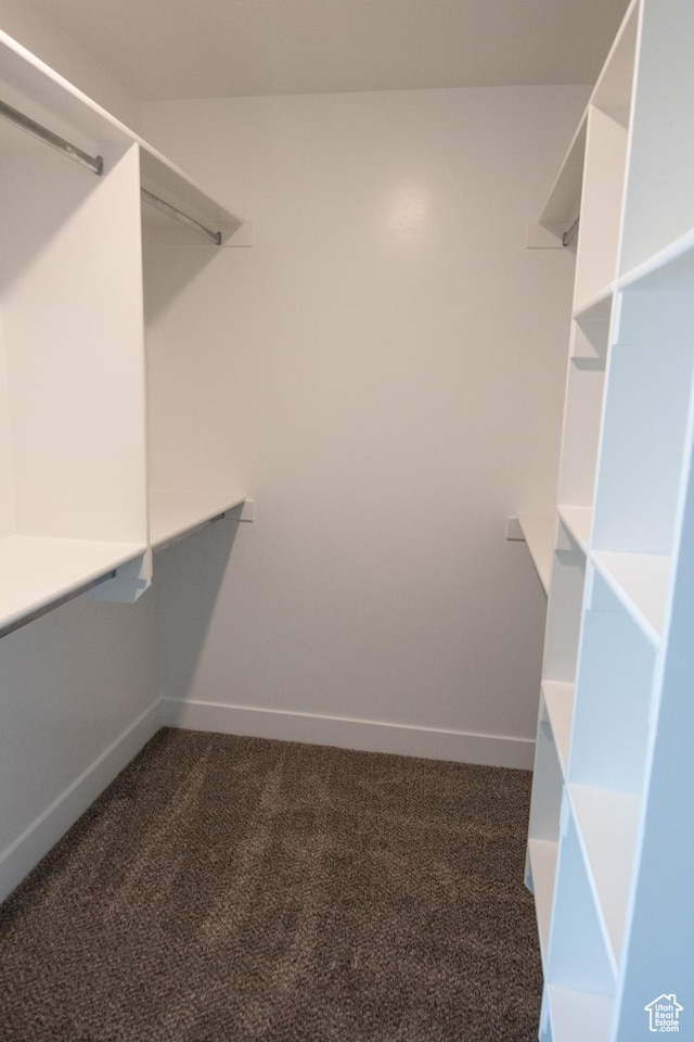 182 W Braeburn Ln, Santaquin, UT 84655 - spacious closet featuring dark colored carpet