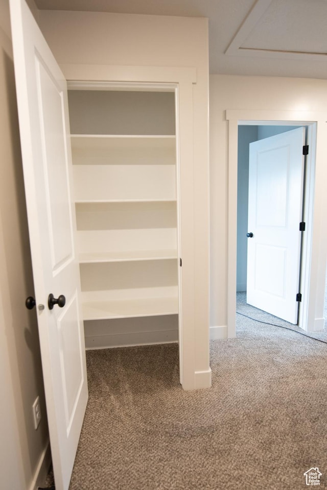 182 W Braeburn Ln, Santaquin, UT 84655 - view of closet