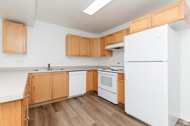 356 S 400 W, Logan, UT 84321 - kitchen with white appliances, under cabinet range hood, light brown cabinets, light wood-type flooring, and a sink