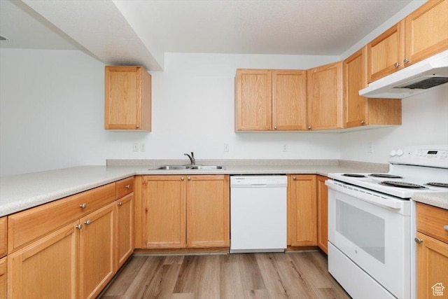 356 S 400 W, Logan, UT 84321 - kitchen with white appliances, a sink, under cabinet range hood, light wood-type flooring, and light countertops