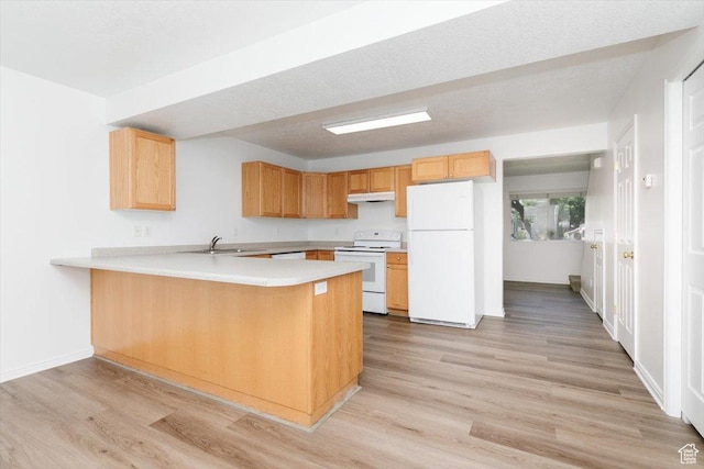 356 S 400 W, Logan, UT 84321 - kitchen with white appliances, a peninsula, light countertops, and light wood-type flooring