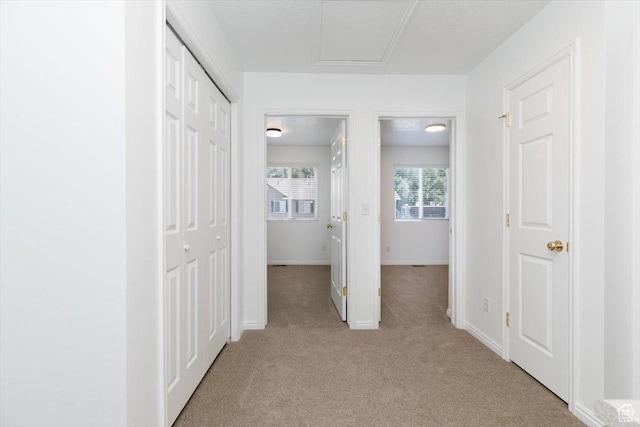 356 S 400 W, Logan, UT 84321 - hallway with light carpet and baseboards