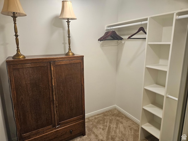 5235 S Spring Clover Dr W, Salt Lake City, UT 84123 - spacious closet with carpet flooring