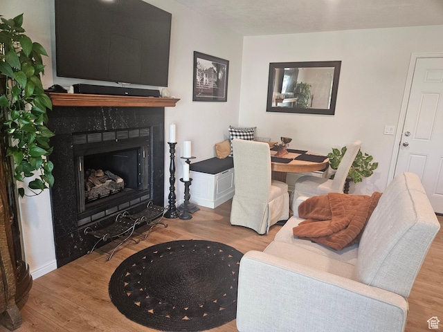 5235 S Spring Clover Dr W, Salt Lake City, UT 84123 - living room featuring wood finished floors and a fireplace