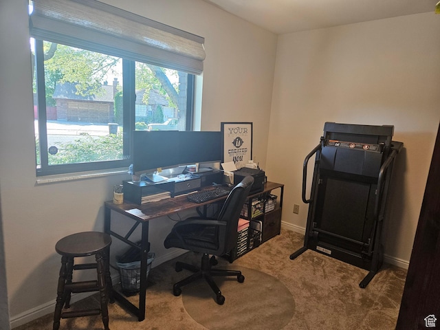 5235 S Spring Clover Dr W, Salt Lake City, UT 84123 - office space with carpet flooring and baseboards