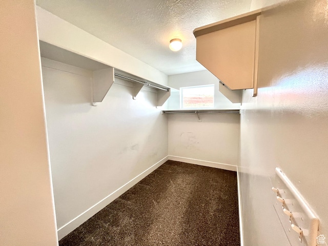 1937 S Freestone Blvd, Santaquin, UT 84655 - spacious closet with dark carpet