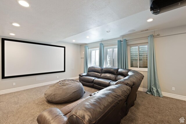 117 S 200 E, Kaysville, UT 84037 - cinema room with recessed lighting, carpet, and baseboards
