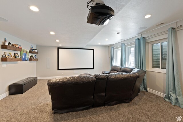 117 S 200 E, Kaysville, UT 84037 - cinema featuring carpet, recessed lighting, and baseboards