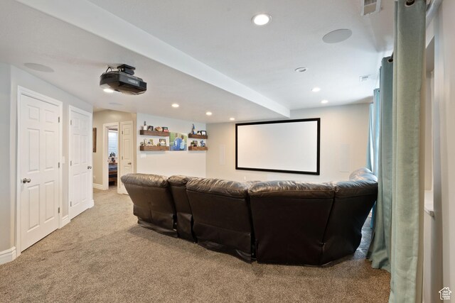 117 S 200 E, Kaysville, UT 84037 - carpeted cinema room with recessed lighting