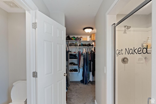 117 S 200 E, Kaysville, UT 84037 - bathroom featuring a shower stall, a spacious closet, and toilet