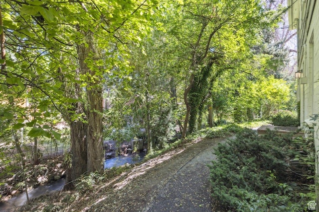 3563 S Canyon Way, Millcreek, UT 84106 - view of yard with a view of trees