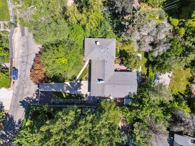 3563 S Canyon Way, Millcreek, UT 84106 - aerial view